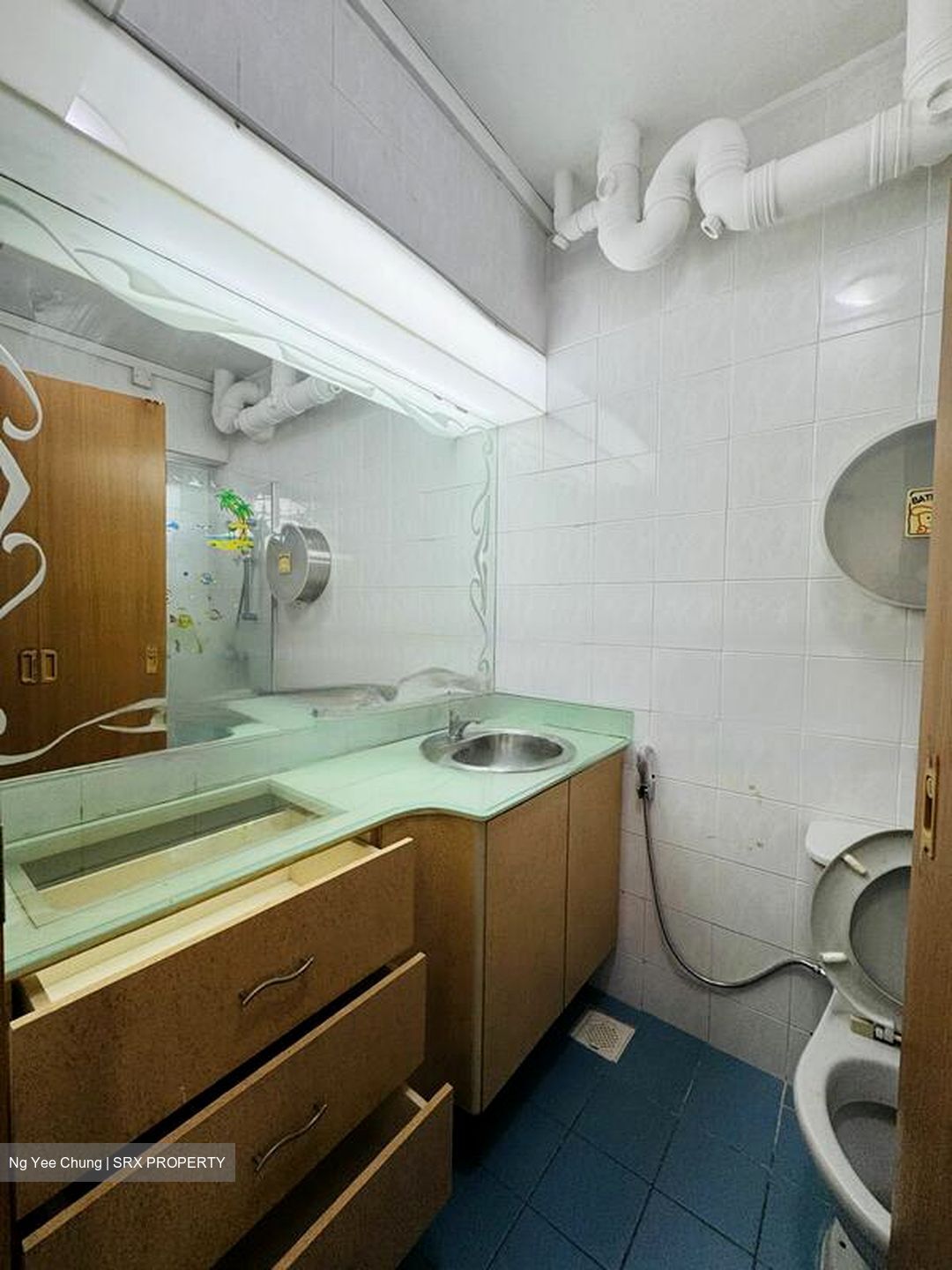 Blk 246 Compassvale Haven (Sengkang), HDB 5 Rooms #462893381